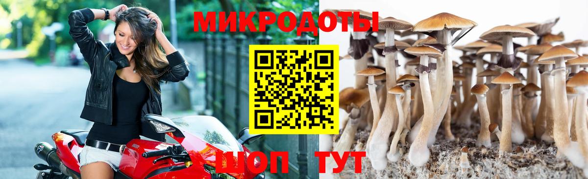 Псилоцибиновые грибы мицелий  Вход с VPN  Советский  Псилоцибиновые грибы GOLDEN TEACHER 